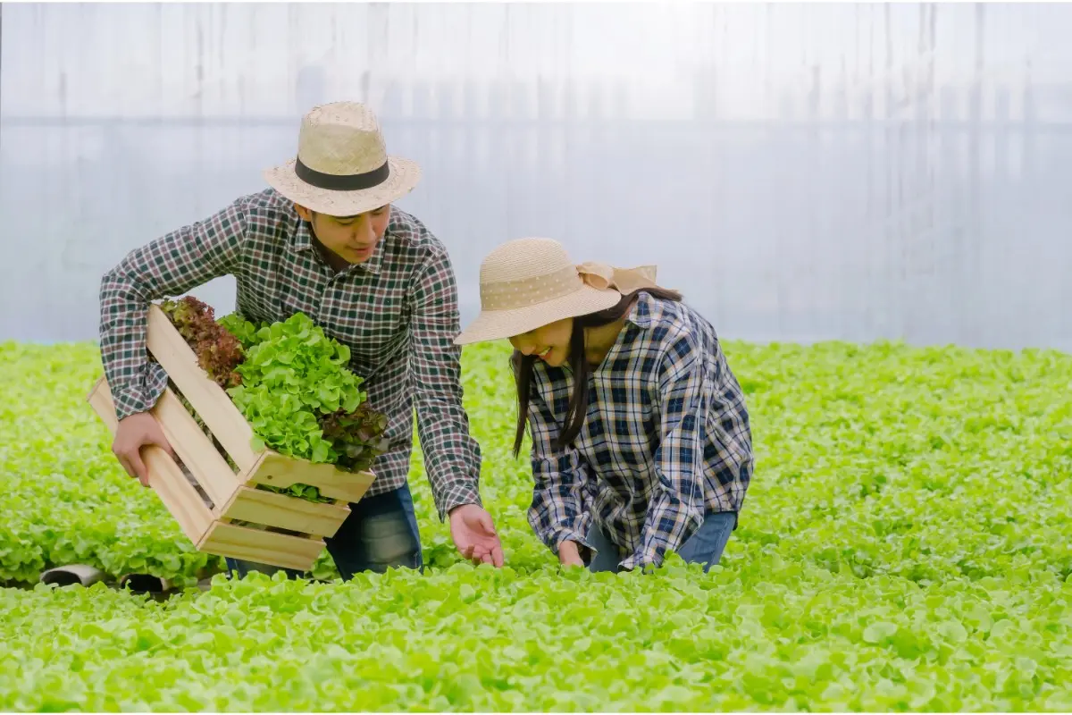 Visibility of Demand