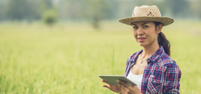 Farmer working in agriculture field